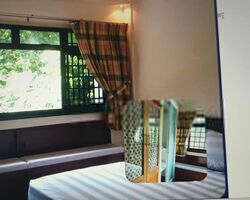 Blk 528 Jelapang Road (Bukit Panjang), HDB Executive #407800761